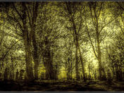 Walking by the cemetary at night...