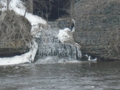 Water falls on the Moira river Belleville Ontario