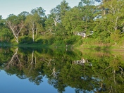 Reflections from a canoe 