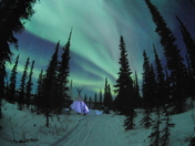 Camping out under the Aurora's