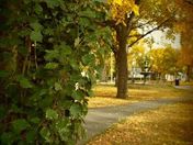 CN RAIL Embracing a sun set out here... Out west.