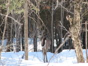 Chute Saint Philippe