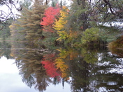 Autumn Reflection