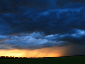Blueberry Prairie Storm