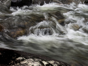 Colours of Springtime