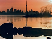 DownTown Toronto Silhouette 