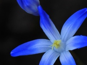 vibrant spring colours