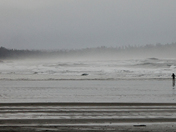 Long Beach, Tofino