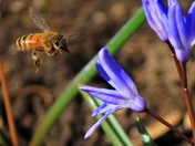 All clear for landing