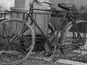 Old Bicycle