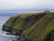 Cape St. Mary's Ecological Reserve