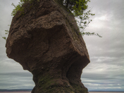 Hopewell Rocks