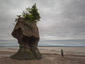Hopewell Rocks