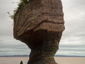 Hopewell Rocks