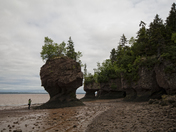 Hopewell Rocks