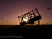 Red River cart sunset