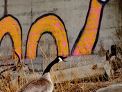 Sea monster vs goose