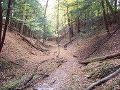 Fall Colors In The Valley