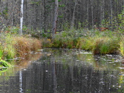 Perfect reflections of colour