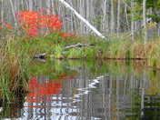 Perfect reflections of colour