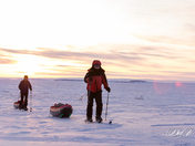 The Fur Country - Epic Journey