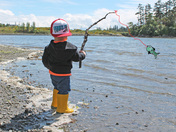 Using your imagination