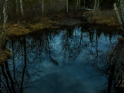 Reflections on Twilight