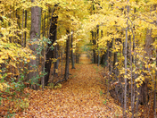Old entrance to Langdon Hall
