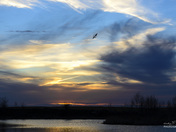 Two halves make a whole