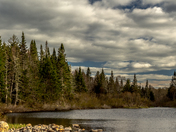 Peaceful Surroundings