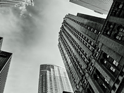 Reaching for the heavens