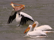 So this is how its done boys.