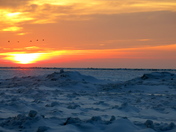 Pelee Island Winter Sunset