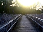 Ontario countryside...