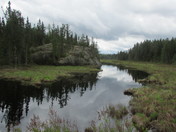 View from the bridge .
