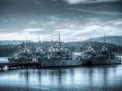 Naval Fleet