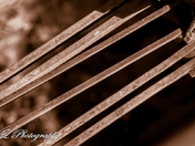 the old train trestle 