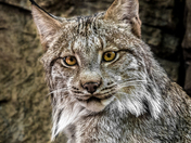 Taking a Coffee Break?