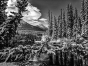 A Winter in Paradise