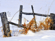 Vintage Winter Fence