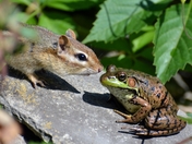 if I kiss you will you be my prince...