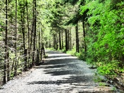 Following my path in life. Hope it doesn't take me into the claws of a grizzly!