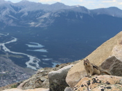 Squirrel on top of Rocky Mountains! 