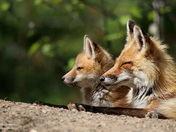 Father and Son moment