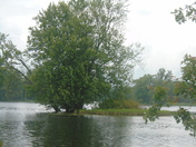 The Moira River in Thurlow Ward Belleville  Ontario