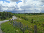 Zion Road in Thurlow Ward Belleville Ontario