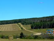 pump jacks and hay bales