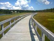 Risser's Boardwalk