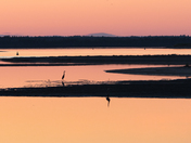 Kouchibouguac National Park