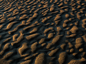 Tidal Sands of Kouchibouguac
